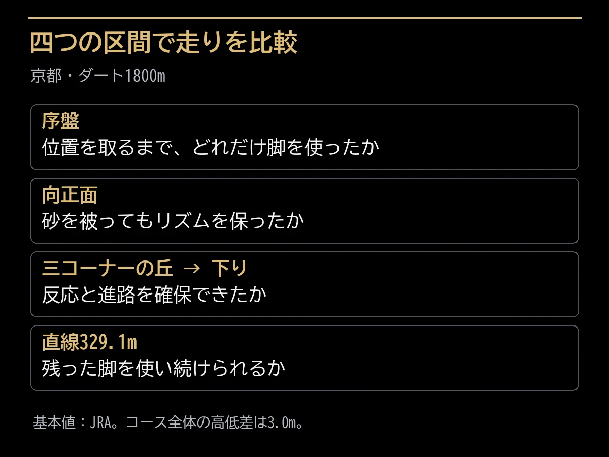 京都ダート1800mの序盤、向正面、丘、直線の確認項目