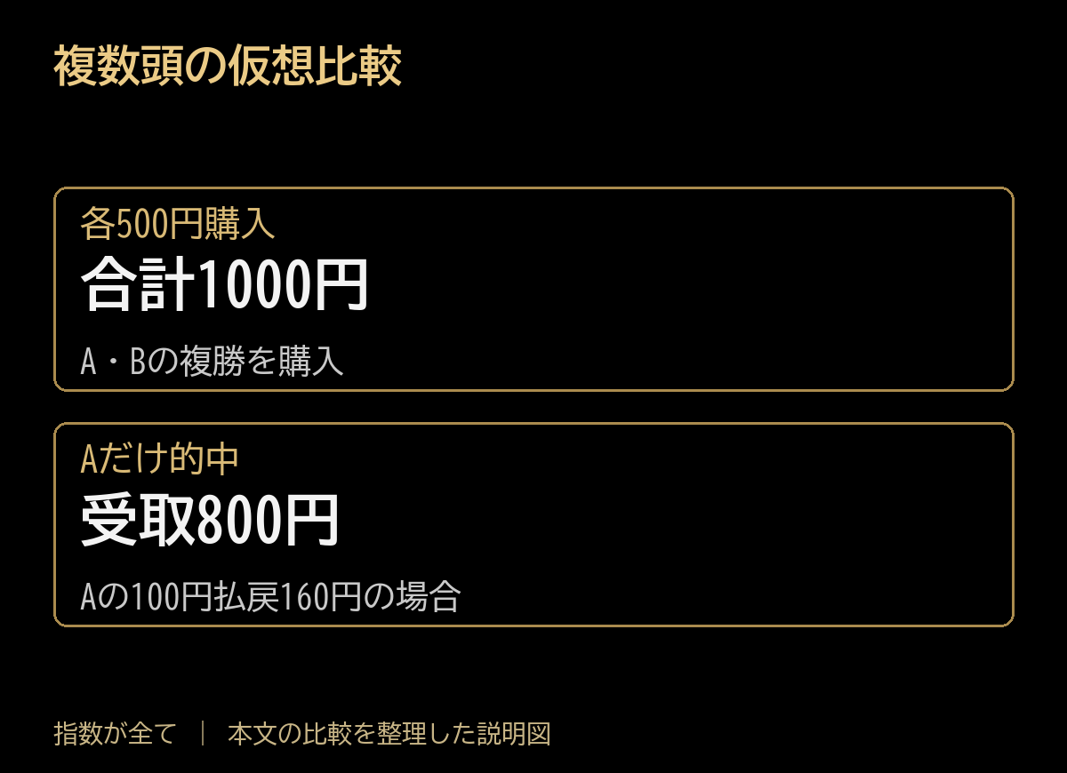 複数頭の仮想比較。各500円購入:合計1000円、A・Bの複勝を購入。Aだけ的中:受取800円、Aの100円払戻160円の場合。