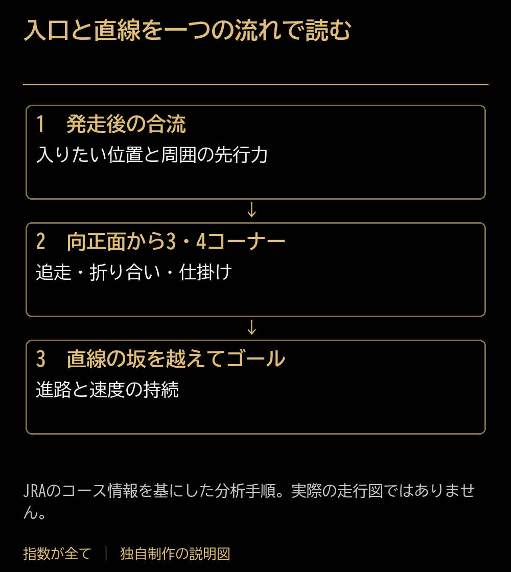 入口と直線を一つの流れで読む。発走後の合流:入りたい位置と周囲の先行力。向正面から3・4コーナー:追走・折り合い・仕掛け。直線の坂を越えてゴール:進路と速度の持続。JRAのコース情報を基にした分析手順。実際の走行図ではありません。