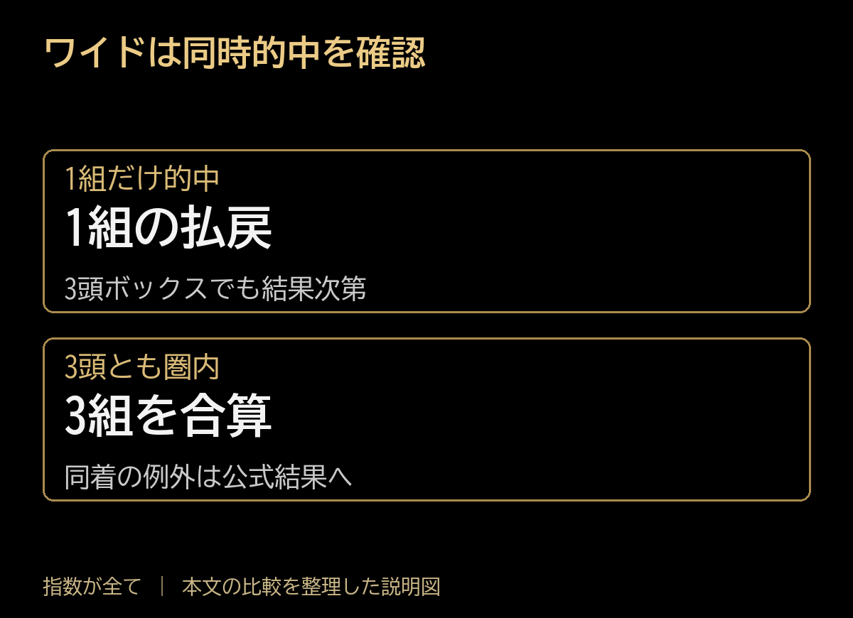 ワイドは同時的中を確認。1組だけ的中:1組の払戻、3頭ボックスでも結果次第。3頭とも圏内:3組を合算、同着の例外は公式結果へ。